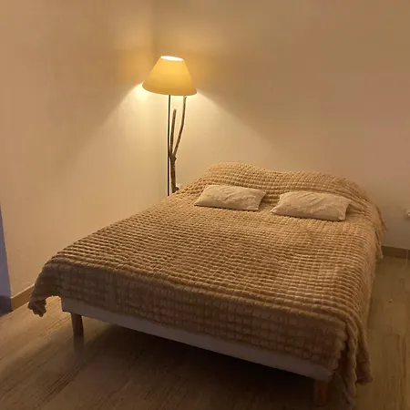 Grand Terrasse Et Piscine ניס