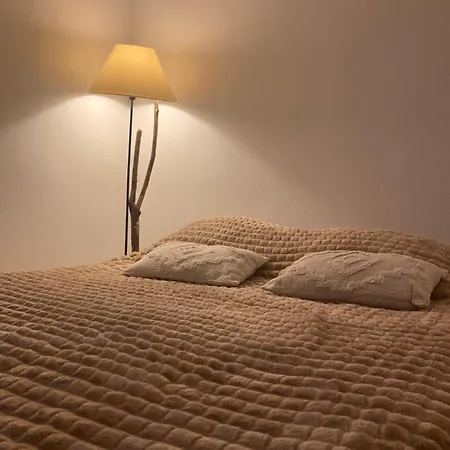 Grand Terrasse Et Piscine