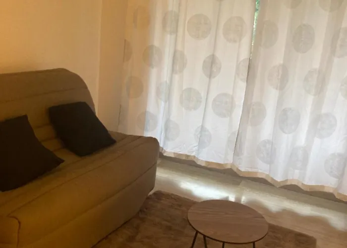 Grand Terrasse Et Piscine Appartement